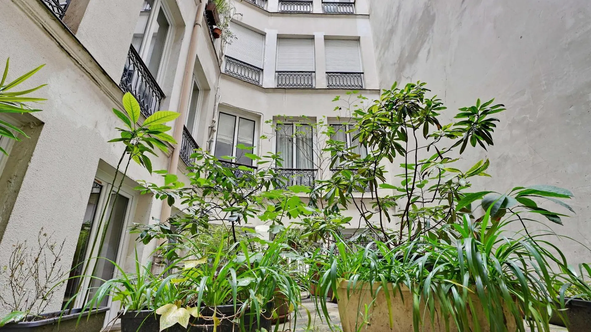 Magnificent Apartment - 1Br-4P - Palais Royal Paris France
